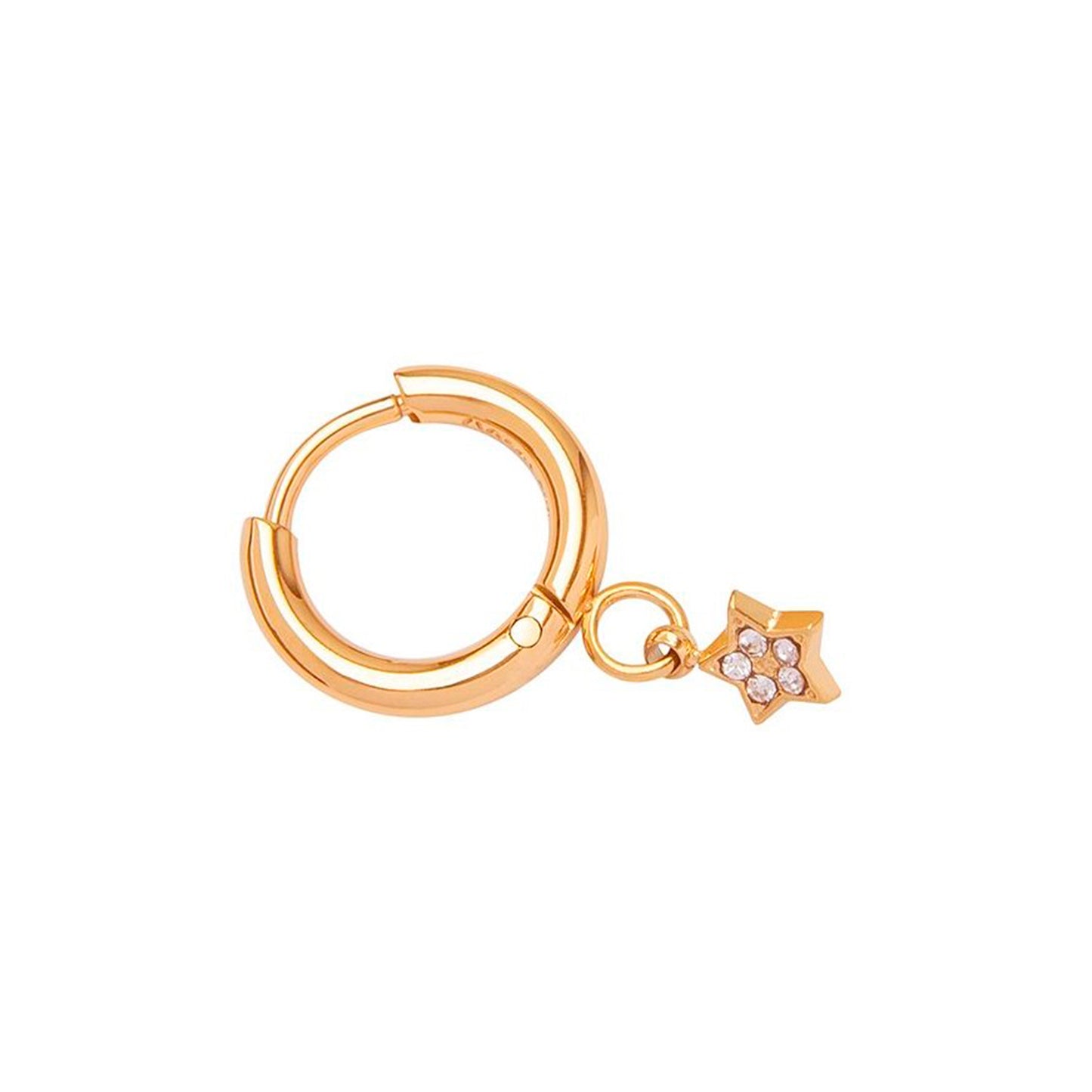 Women's earring