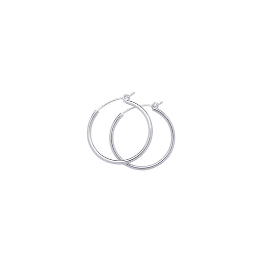 ვერცხლი საყურე