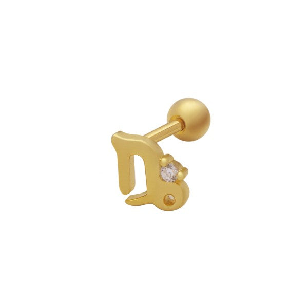 ვერცხლის საყურე პირსინგი