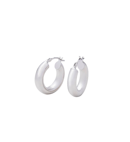 Silver earrings