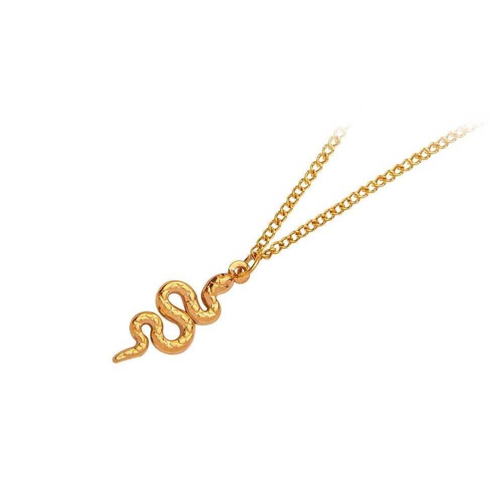 A snake necklace