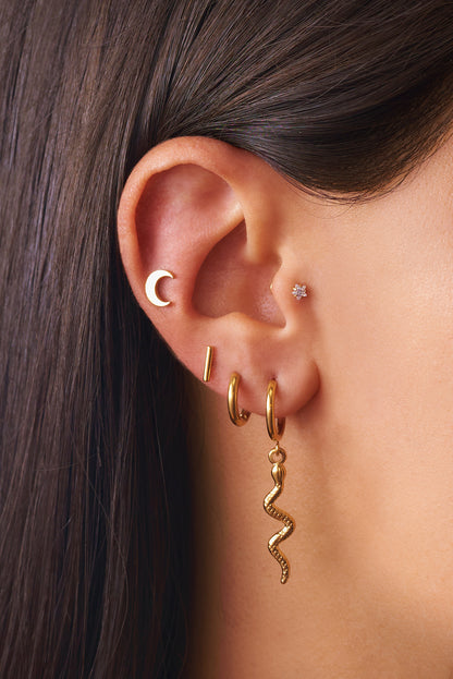 Women's earring 